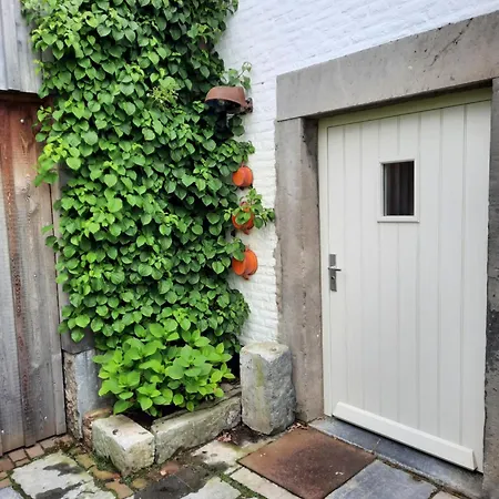 Withuis إيجسدين